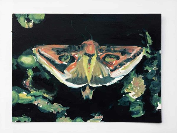 Litter / 2019 / 9 x 12 3/16 in. / oil on arches paper