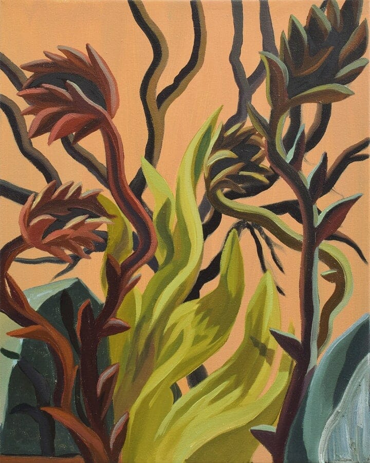 Seed Pod Dancers 20 x 16 Inches Oil on Canvss 2019