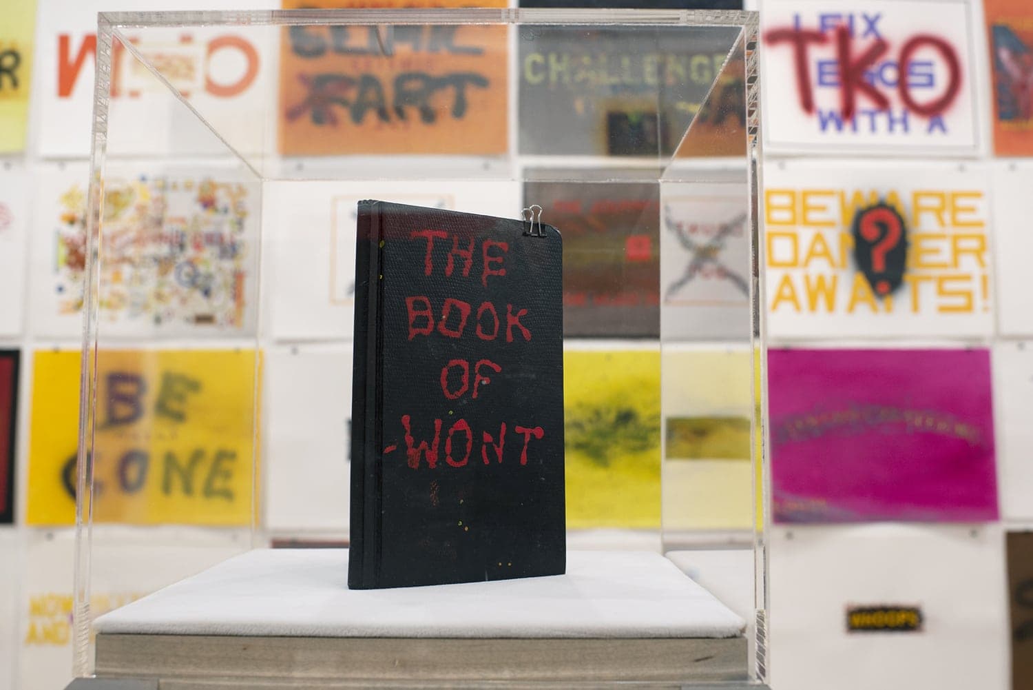 An encased art piece of The Book of Wont