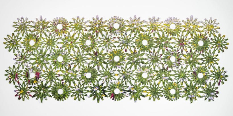 the knots of the net; Arnica / Aster / Castilleja | 2021 | Folded archival inkjet print, archival adhesive | 31.5 x 80 x .25 in. | edition sold out