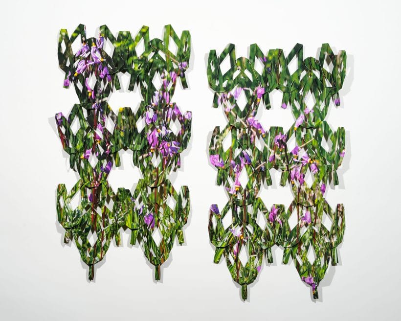 the knots of the net; Shooting Star | 2021 | Folded archival inkjet print, archival adhesive | 1/3 edition | 12.5 x 22.5 x .25 in. (x2) diptych