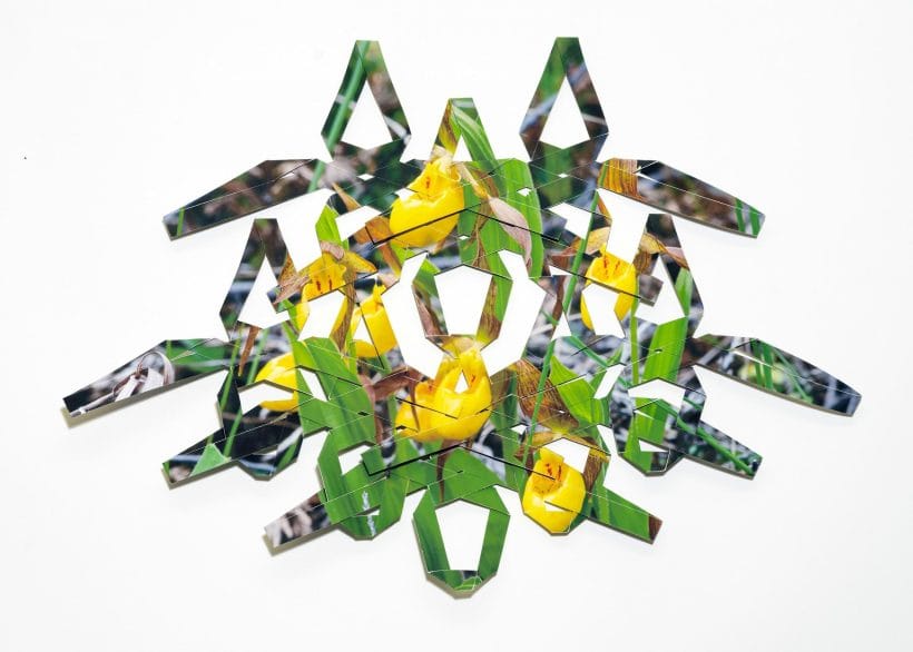 the knots of the net; Yellow Lady’s Slipper | 2020 | Folded archival inkjet print, archival adhesive | 2/3 edition | 12.5 x 17.5 x .25 in.