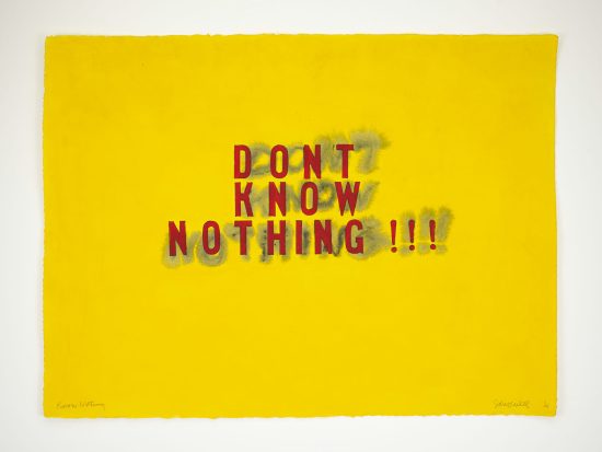 Know Nothing | 2021 | mixed media on paper | 22 x 30 in.