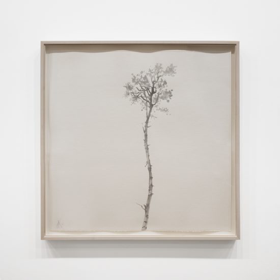 Peter von Tiesenhausen | Pulp Drawing 3 | 2006 | 32 x 32 in. | ash on pulp