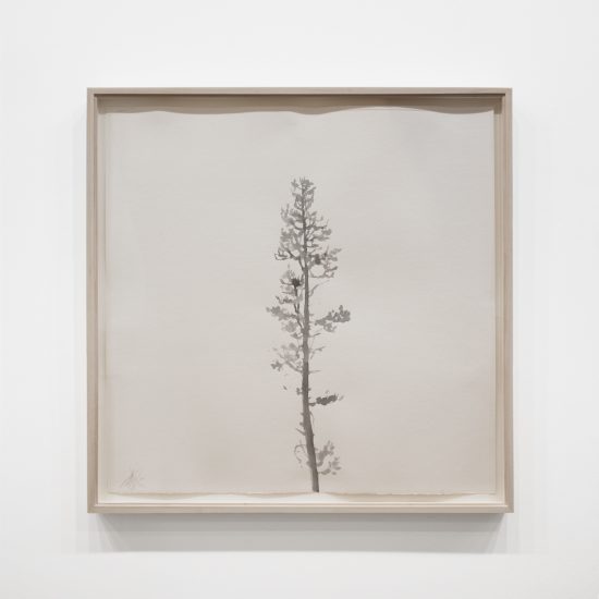 Peter von Tiesenhausen | Pulp Drawing 2 | 2006 | 32 x 32 in. | ash on pulp