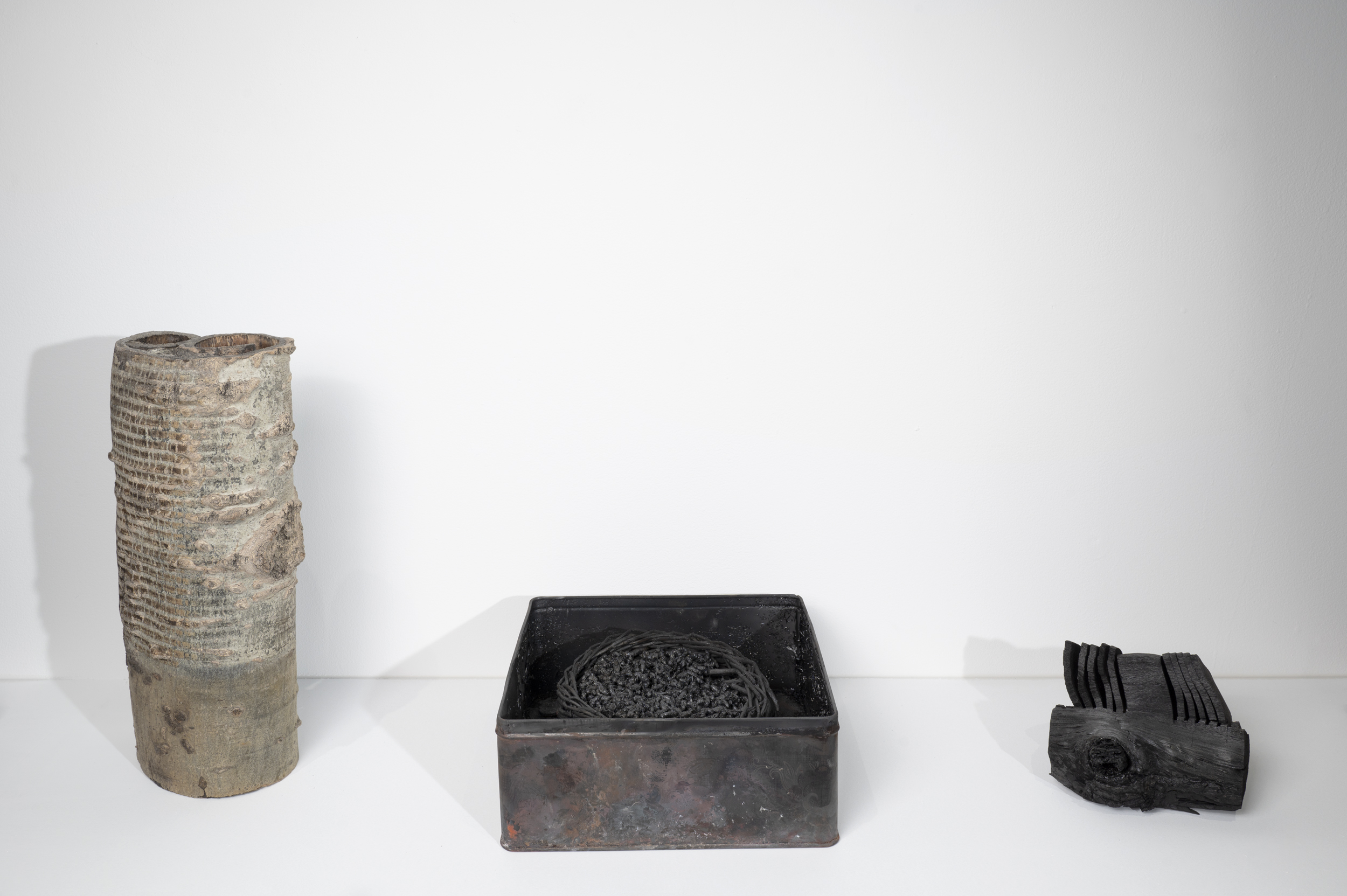 Scroll | Nest | Between the Pages