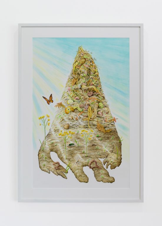 Jude Griebel | Rotting, Blooming | 2023 | 40 x 26 in. | pencil crayon + acrylic on yupo paper